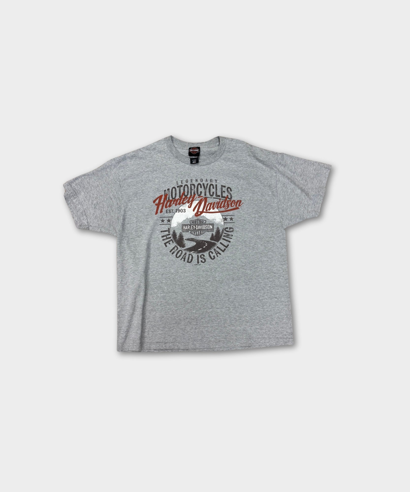 Vintage Harley "Road is Calling" Tee